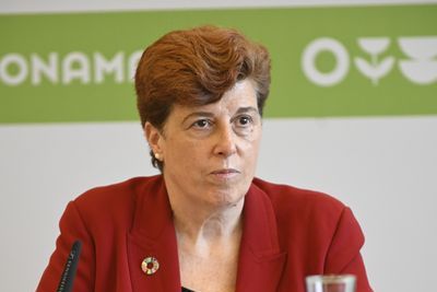 Nieves Sánchez Guitián